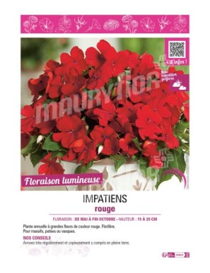IMPATIENS ROUGE