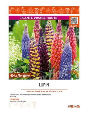 LUPIN (varié)