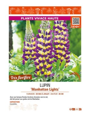 LUPIN MANHATTAN LIGHTS