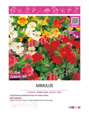 MIMULUS