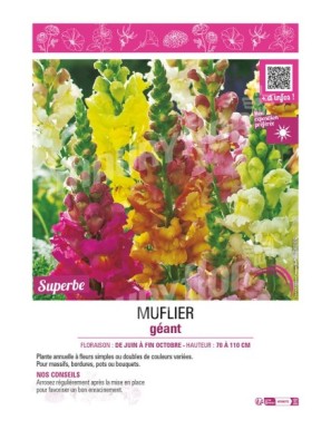 MUFLIER GÉANT (varié)