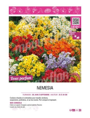 NEMESIA (varié)