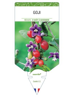 GOJI