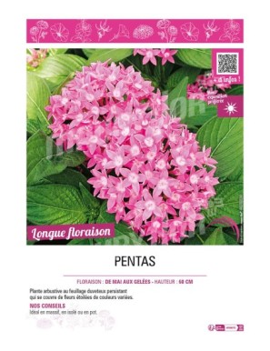 PENTAS