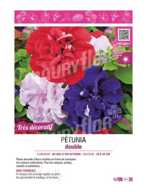 PÉTUNIA DOUBLE (varié)