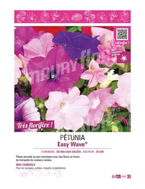 PÉTUNIA EASY WAVE
