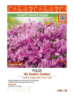 PHLOX MC DANIEL'S CUSHION