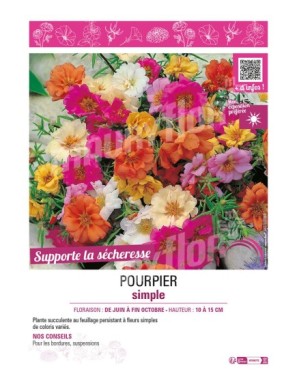 POURPIER SIMPLE (mélange)