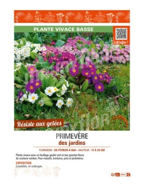 PRIMEVÈRE DES JARDINS