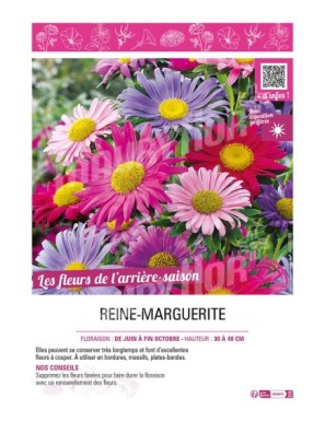 REINE-MARGUERITE (NAINE)