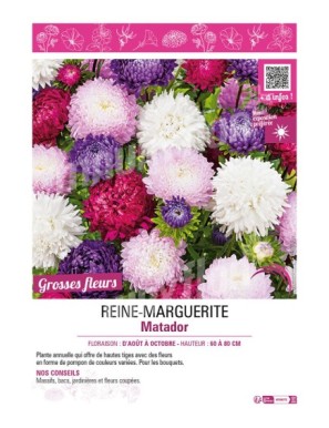 REINE-MARGUERITE MATADOR