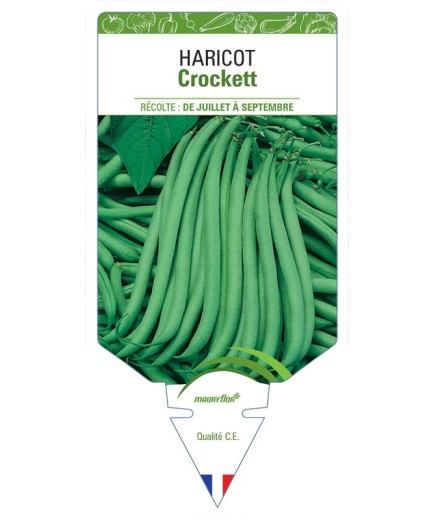 HARICOT CROCKETT