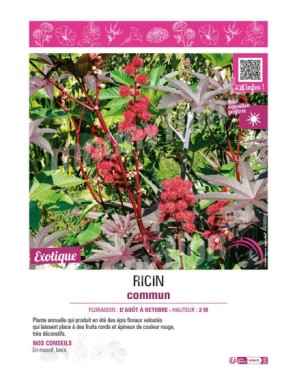 RICIN COMMUN