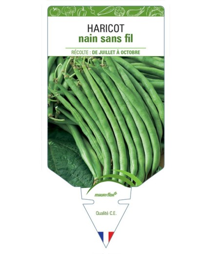 HARICOT NAIN SANS FIL