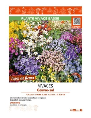 VIVACES COUVRE-SOL