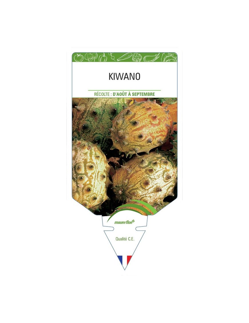 KIWANO