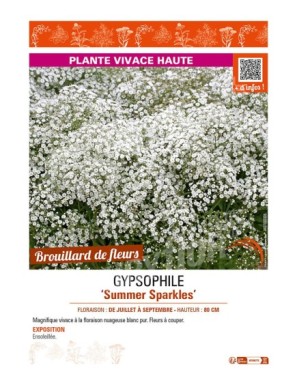 GYPSOPHILE SUMMER SPARKLES