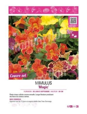MIMULUS MAGIC