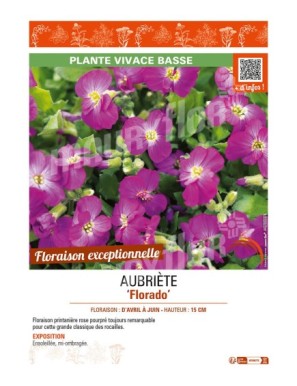 AUBRIÈTE FLORADO