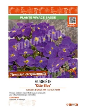 AUBRIÈTE KITTE BLUE