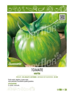 TOMATE VERTE