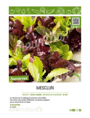 MESCLUN