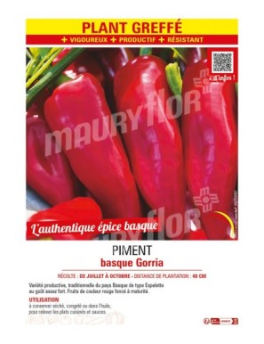 PIMENT BASQUE GORRIA (TYPE ESPELETTE) Plant greffé