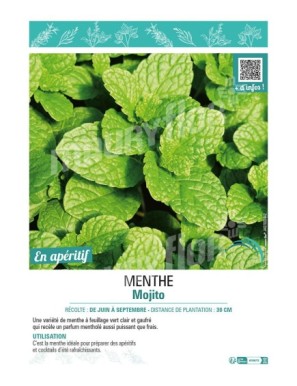 MENTHE MOJITO