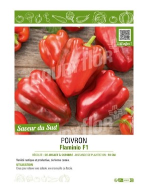 POIVRON FLAMINIO F1