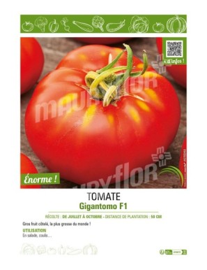 TOMATE GIGANTOMO F1