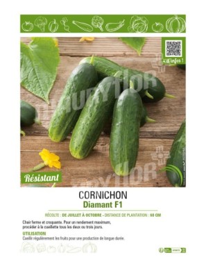 CORNICHON DIAMANT F1