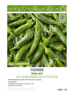 POIVRON LONG VERT