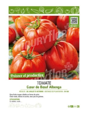 TOMATE CŒUR DE BŒUF ALBENGA