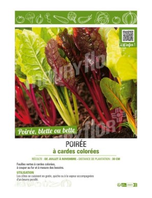 POIRÉE À CARDES COLORÉES