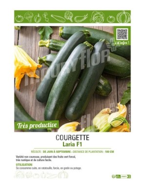 COURGETTE LARIA F1