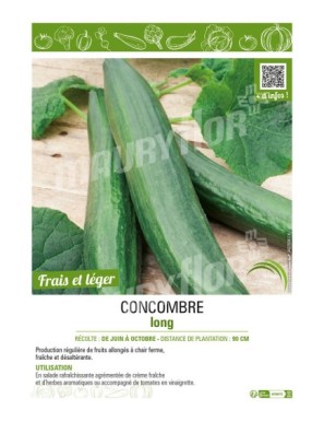 CONCOMBRE LONG