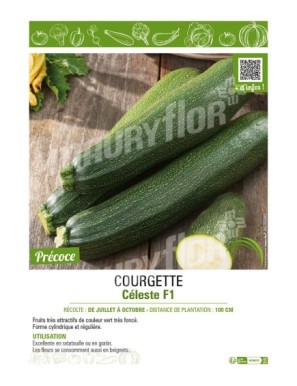 COURGETTE CÉLESTE F1