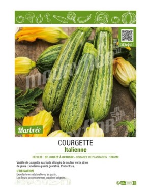 COURGETTE ITALIENNE