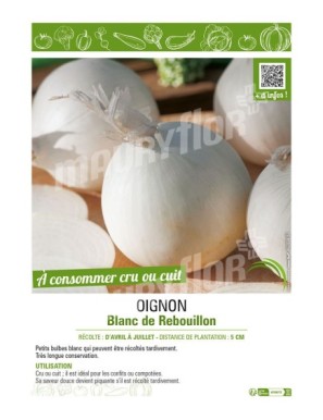OIGNON BLANC DE REBOUILLON