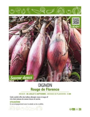 OIGNON ROUGE DE FLORENCE