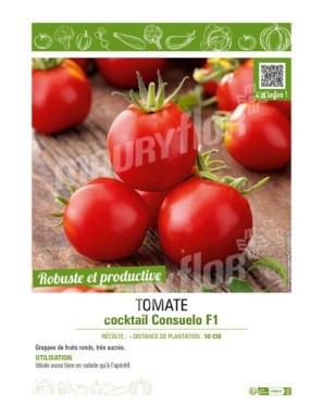 TOMATE COCKTAIL CONSUELO F1