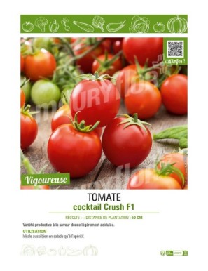 TOMATE COCKTAIL CRUSCH F1