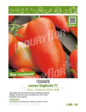 TOMATE CORNUE GAGLIARDO F1