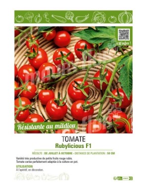 TOMATE RUBYLICIOUS F1