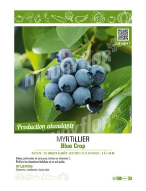 MYRTILLIER Blue Crop