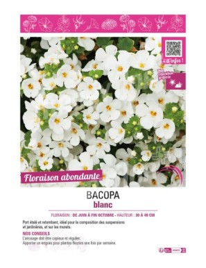 BACOPA BLANC