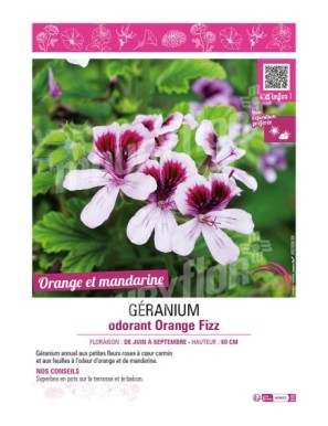 GERANIUM ODORANT ORANGE FIZZ