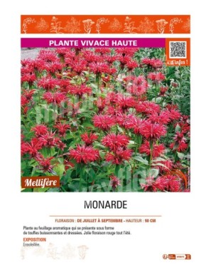 MONARDA (rouge)