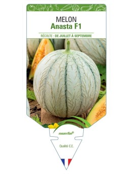 MELON ANASTA F1