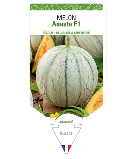 MELON ANASTA F1